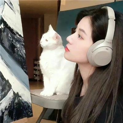 秘密指挥封面