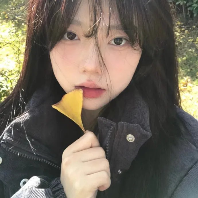 只是朋友封面